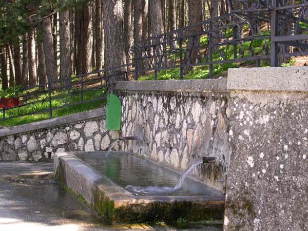 Canalicchia-1