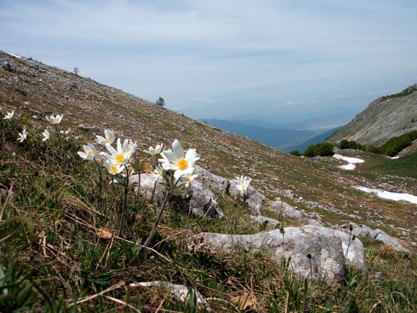DSCF0245