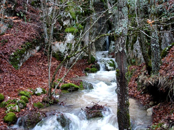 DSCF3196