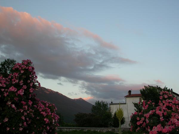 DSCN0098