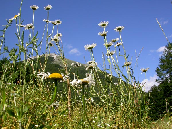 DSCN0200