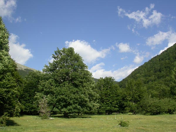 DSCN0229