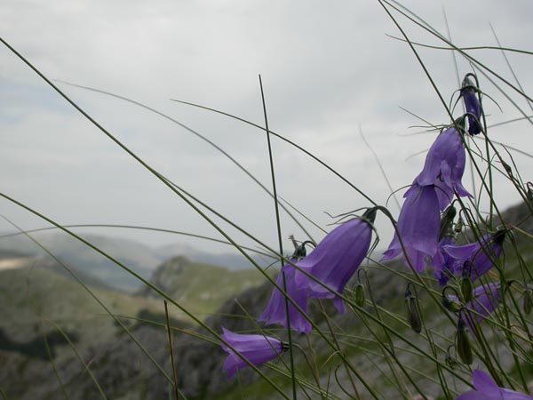 DSCN0586