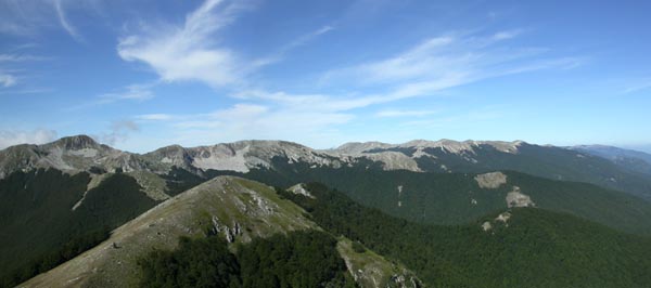 DSCN0958a