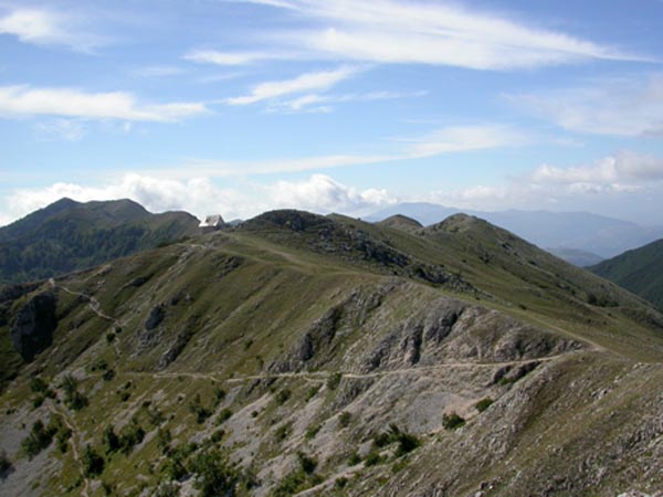 DSCN0962