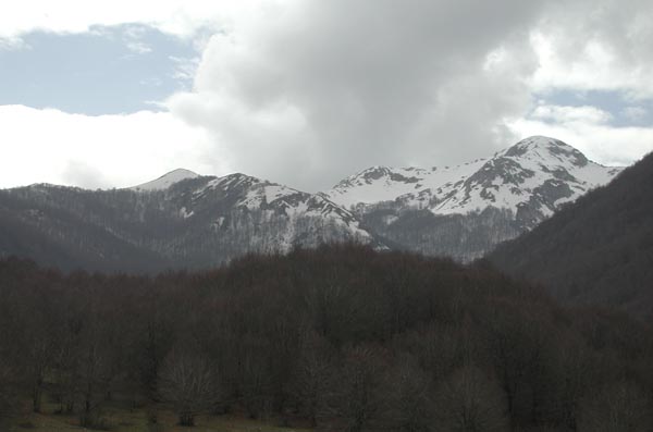 DSCN1009