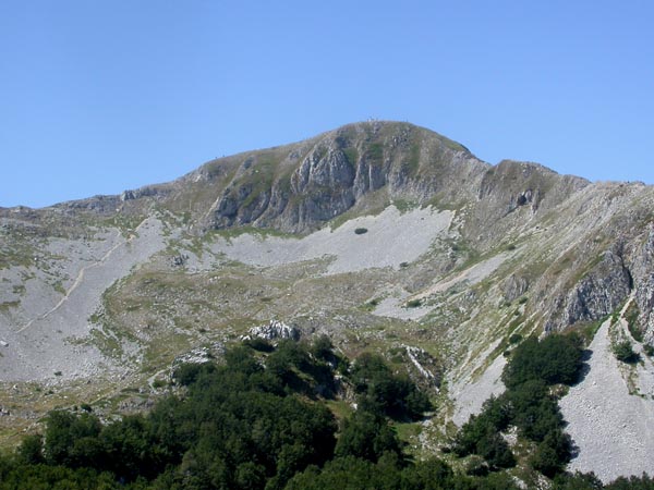 DSCN1828