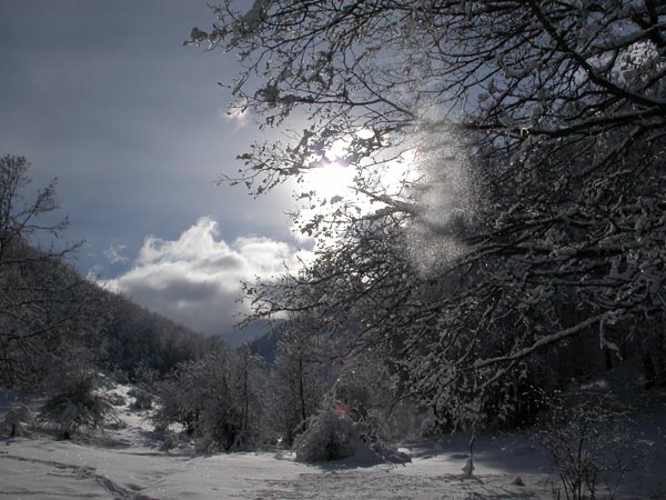 DSCN1829