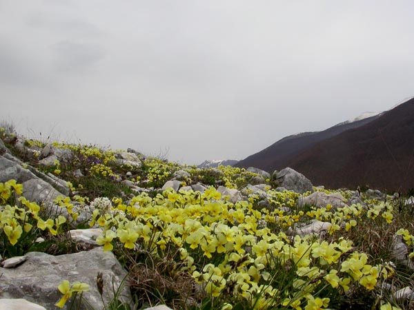 DSCN2627