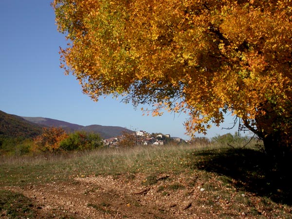 DSCN4366 B