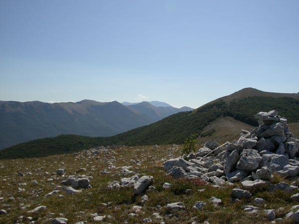 DSCN5688