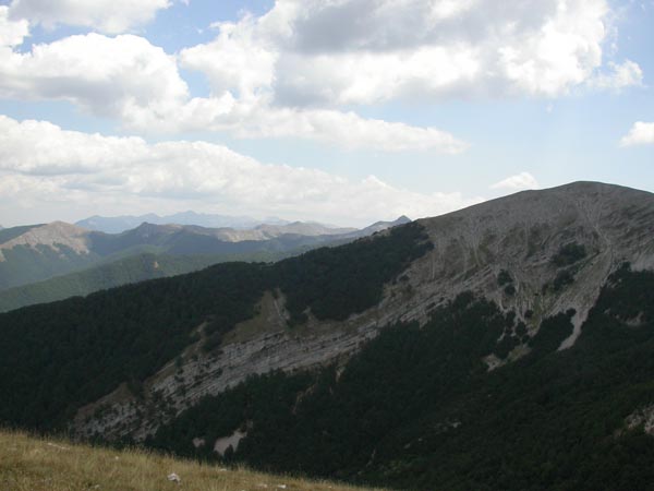 DSCN5743