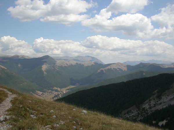 DSCN5744