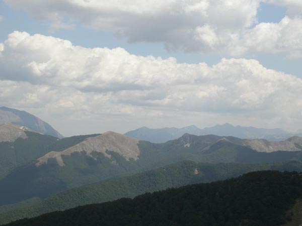 DSCN5747