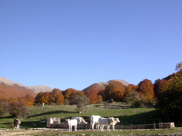 DSCN7362