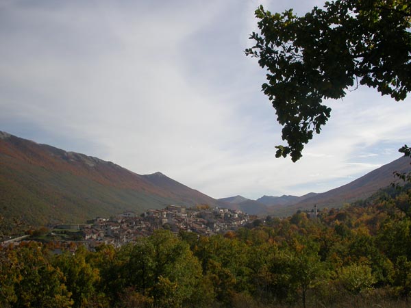 DSCN7401