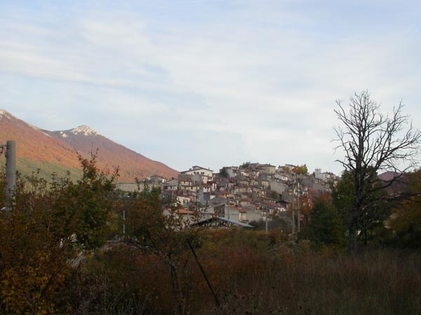 DSCN7456