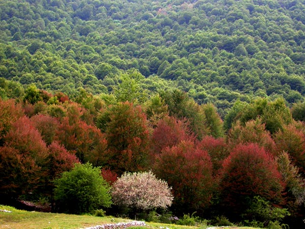 DSCN8088