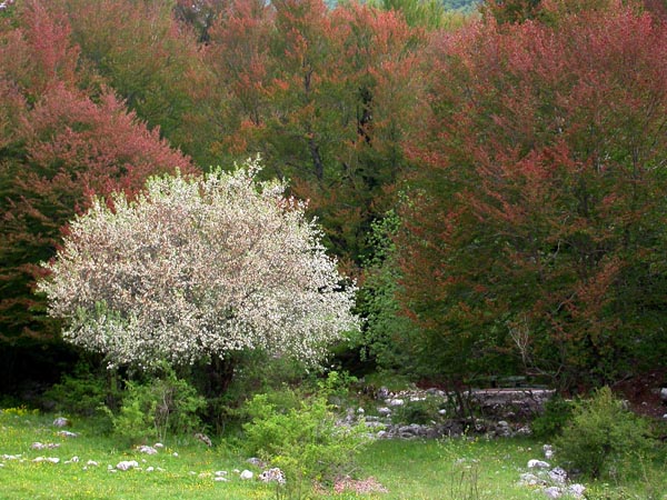 DSCN8094