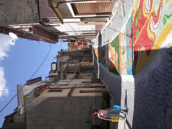 DSCN9255