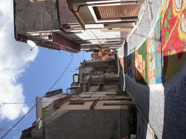 DSCN9256