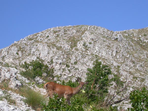 DSCN9364