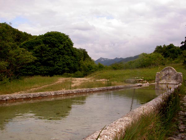 Fontana Fonte Astunii