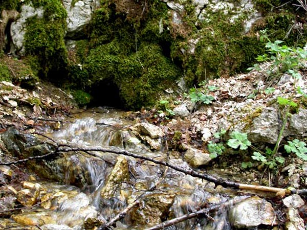 Fonte-dei-Buoi