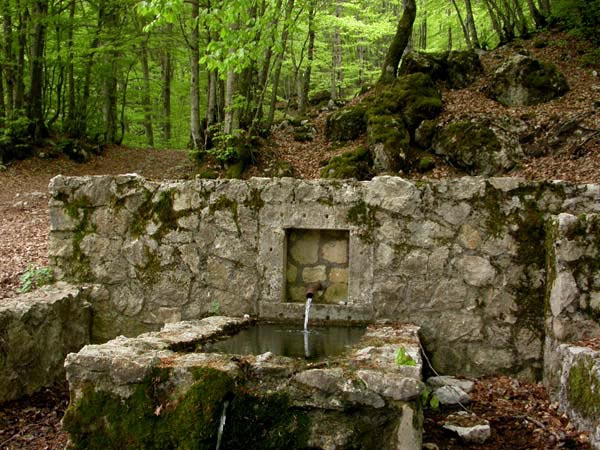 mosciolina-2