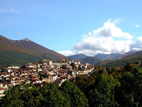 panorama1