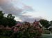 DSCN0100