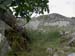 DSCN0565