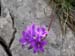 DSCN0572
