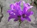 DSCN0573