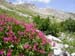 DSCN0597