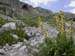 DSCN0599