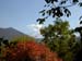 DSCN1177