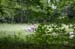 orso schiena cavallo#651FB7